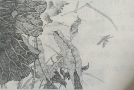 答卢仝 //唐&middot;孟郊