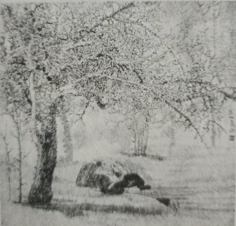 《梳铭》①赏析// 苗爱香