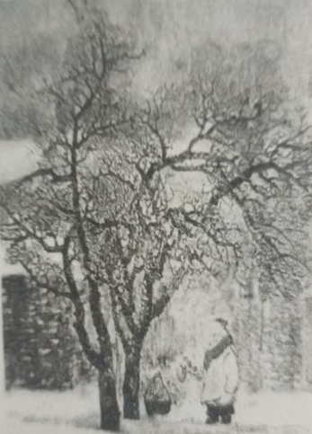 《冬行三首》赏析// 李福祥