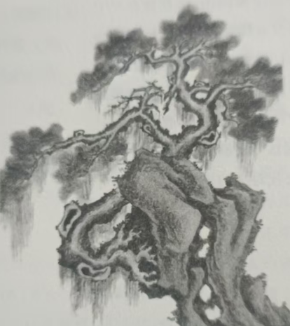 《忆金鹅山沈山①人二首》赏析 //黄慧敏