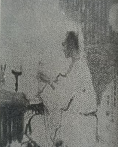 《寄崔柳州①》赏析 黄慧敏