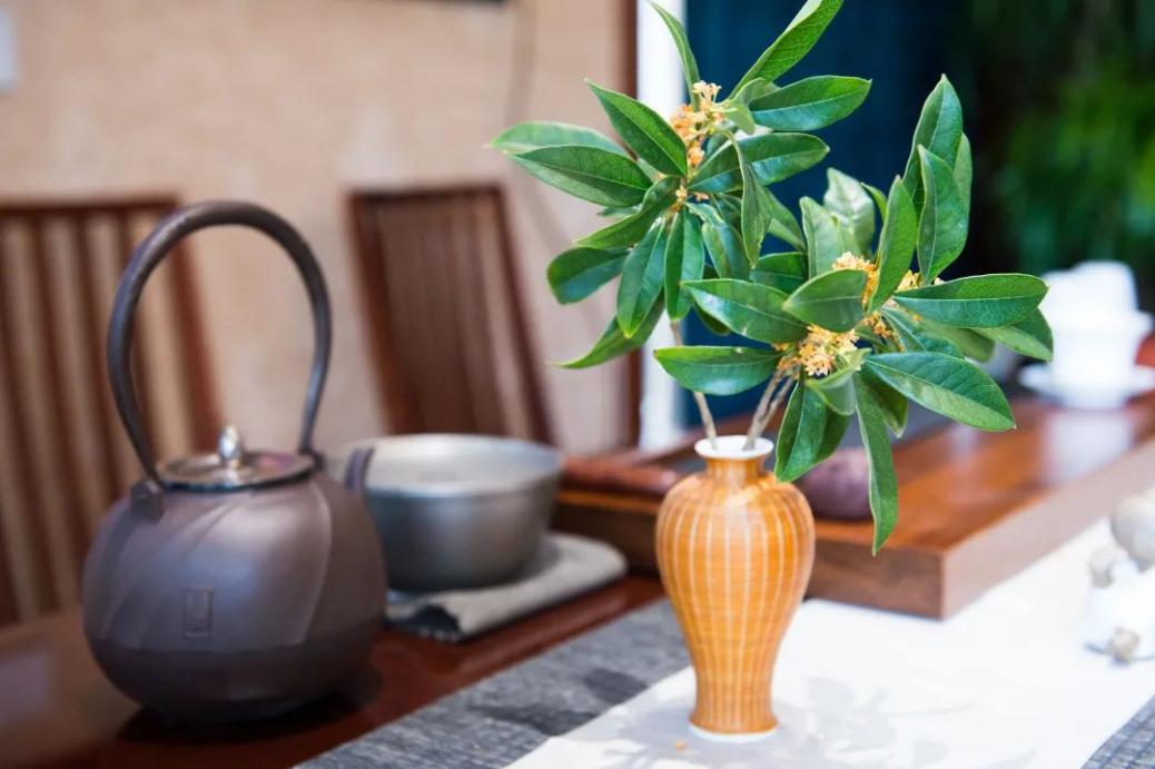 喝茶就是聚人气，聚人气就是聚财气